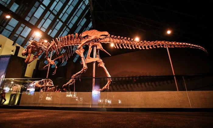 6700����ǰ�İ�������ʯ��˹̹���ڰ������������ȵ���Ȼ��ʷ�����չ��