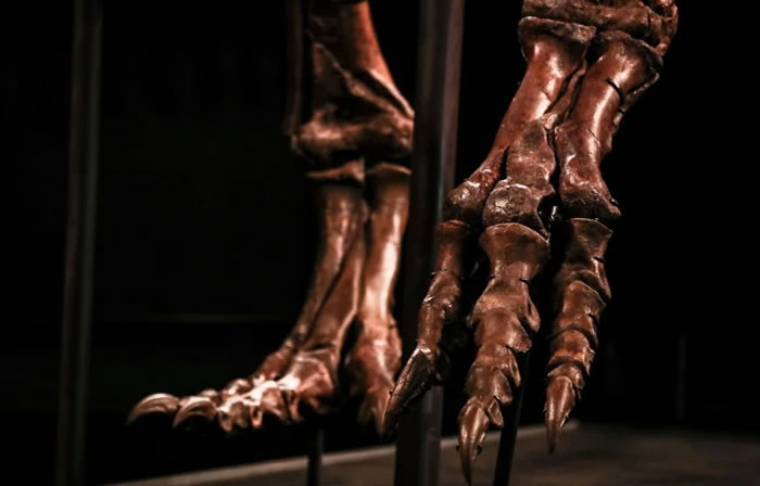 6700����ǰ�İ�������ʯ��˹̹���ڰ������������ȵ���Ȼ��ʷ�����չ��