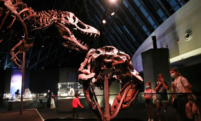 6700����ǰ�İ�������ʯ��˹̹���ڰ������������ȵ���Ȼ��ʷ�����չ��