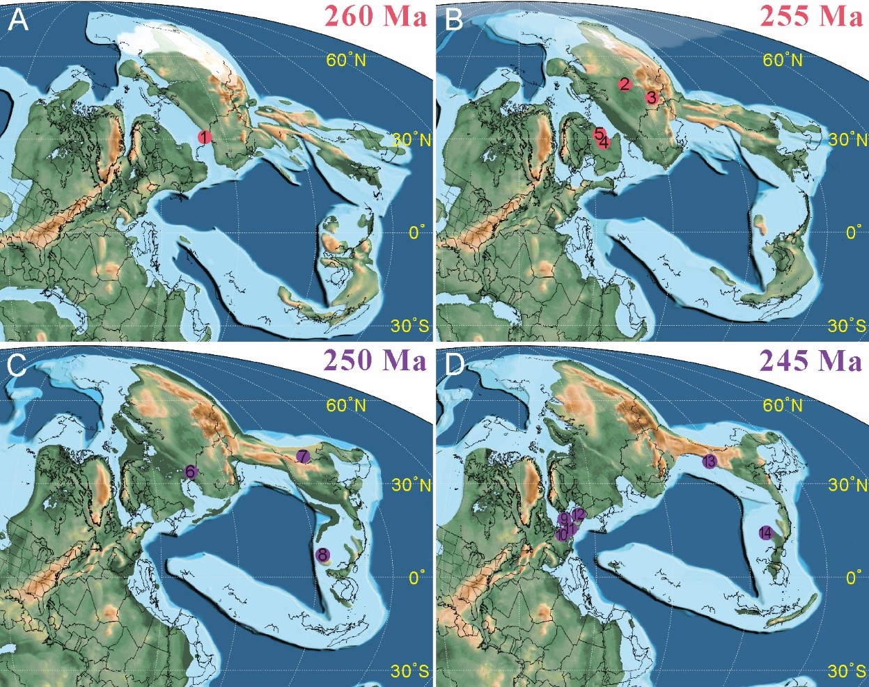 ���Ŀ�����(Chauliodites Heer, 1865)�ŵ����ֲ�ͼ
