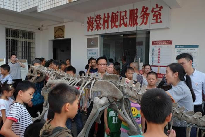 四川自贡恐龙博物馆被认定为2021-2025年度第一批全国科普教育基地