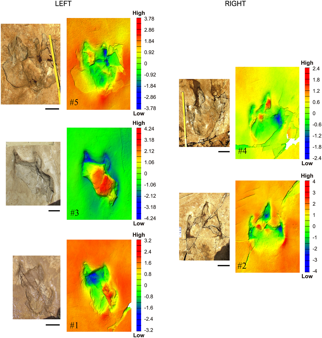 1.29����ǰһֻ�޽�������Ĳ�̬�㼣�������ֺ�������˻���ε����