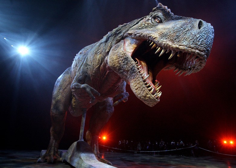 �׿�˹��������Ϊ����Ⱥ������ʱ������ͬ�������ҧ����������Сǰ֫