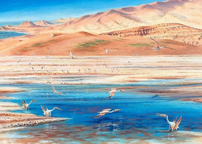 ����������������ɳĮ���ֺ�����1����ǰ�������ǻ�ʯĹ��