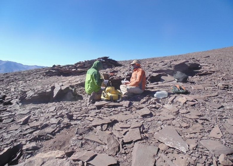 ����������������ɳĮ���ֺ�����1����ǰ�������ǻ�ʯĹ��