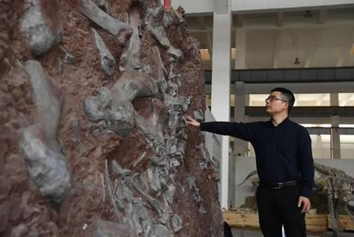 ���ԣ��й��������о�����Ϊ��Ƶ�֡������ߡ���