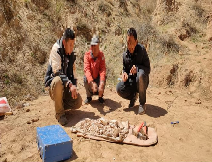 3人不顾生命安全打洞盗掘古脊椎动物化石被靖边警方当场抓获