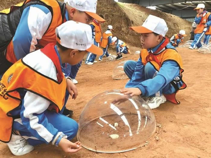 ɽ���������Ѽ͹��ҵ��ʹ�԰��ѡ2021-2025���һ��ȫ�����ս�������