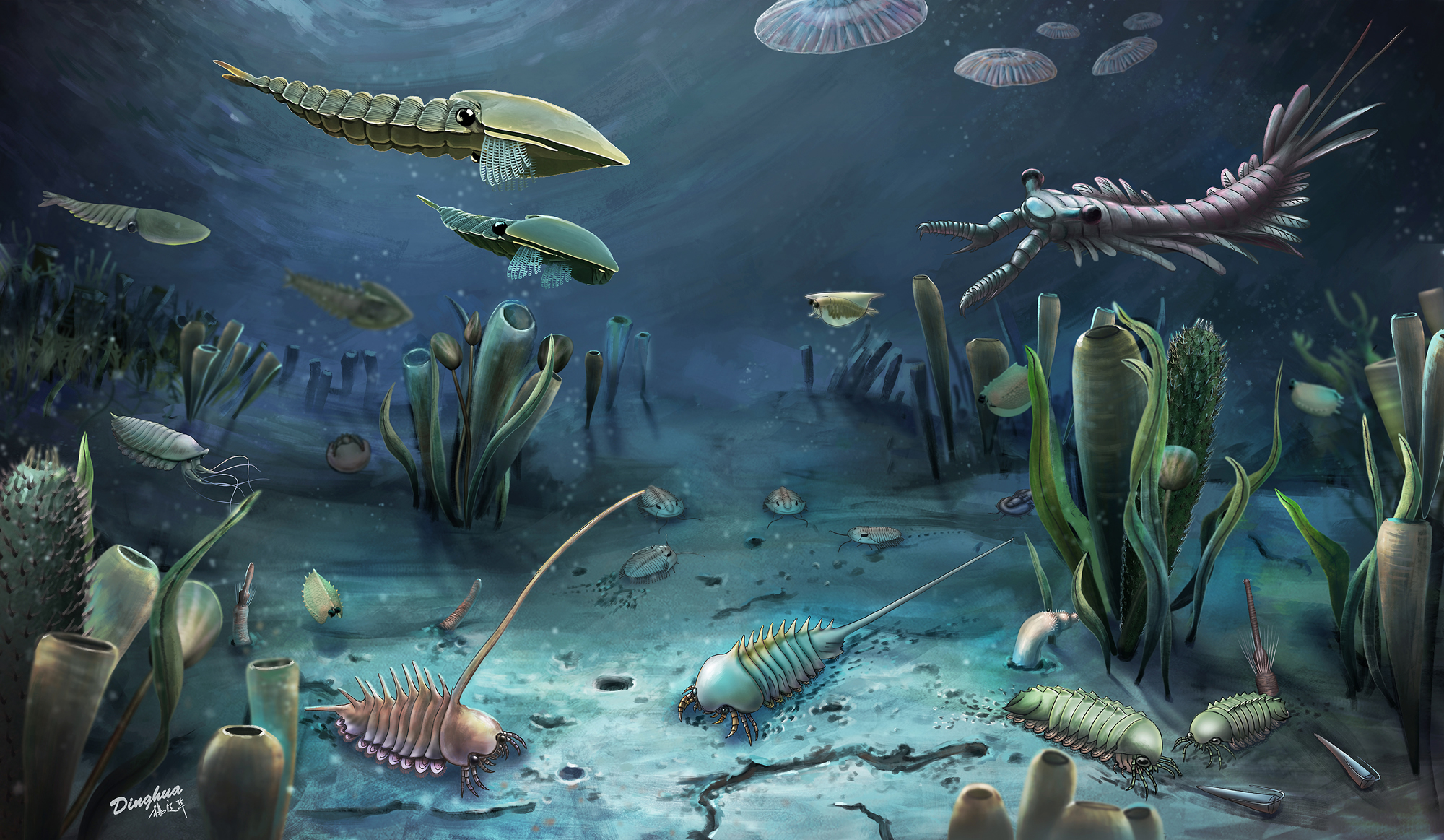 距今约5.04亿年的特异埋藏化石库“临沂动物群”：探索寒武纪演化动物群的新窗口