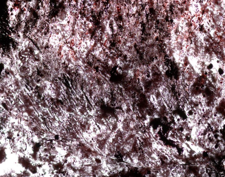 ���о�����������37.5����ǰ �����Ͼʹ����Ŷ�������΢��������