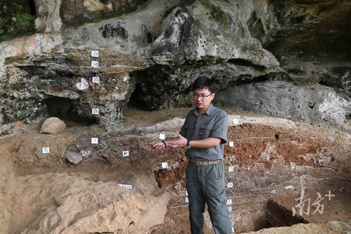 �㶫��Ұ�����ж�ţ��������ר������ǿ���ؿ��Ź���