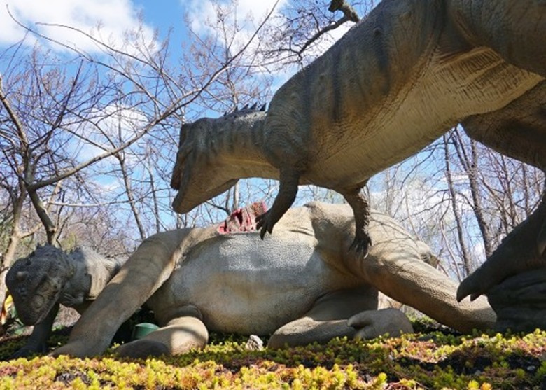 ����ŦԼ���ʿ�˹����԰�پٰ������չ