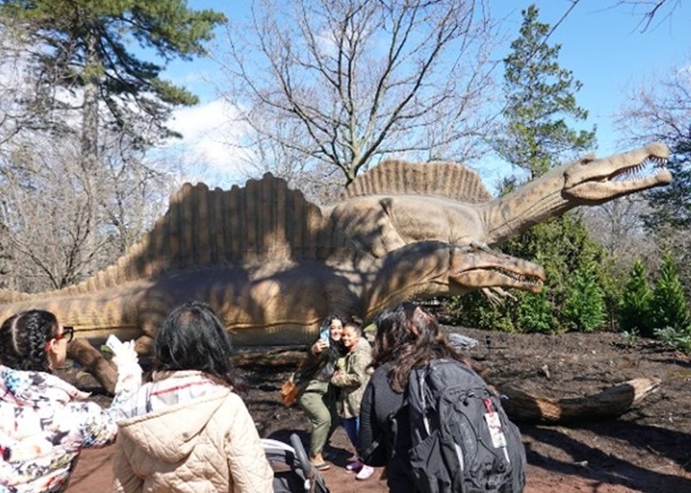 美国纽约布朗克斯动物园再举办恐龙特展