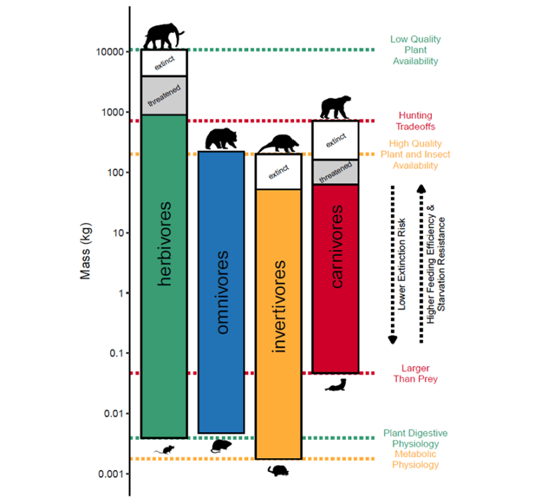 研究称人类破坏了6600万年的生态系统的基本特征