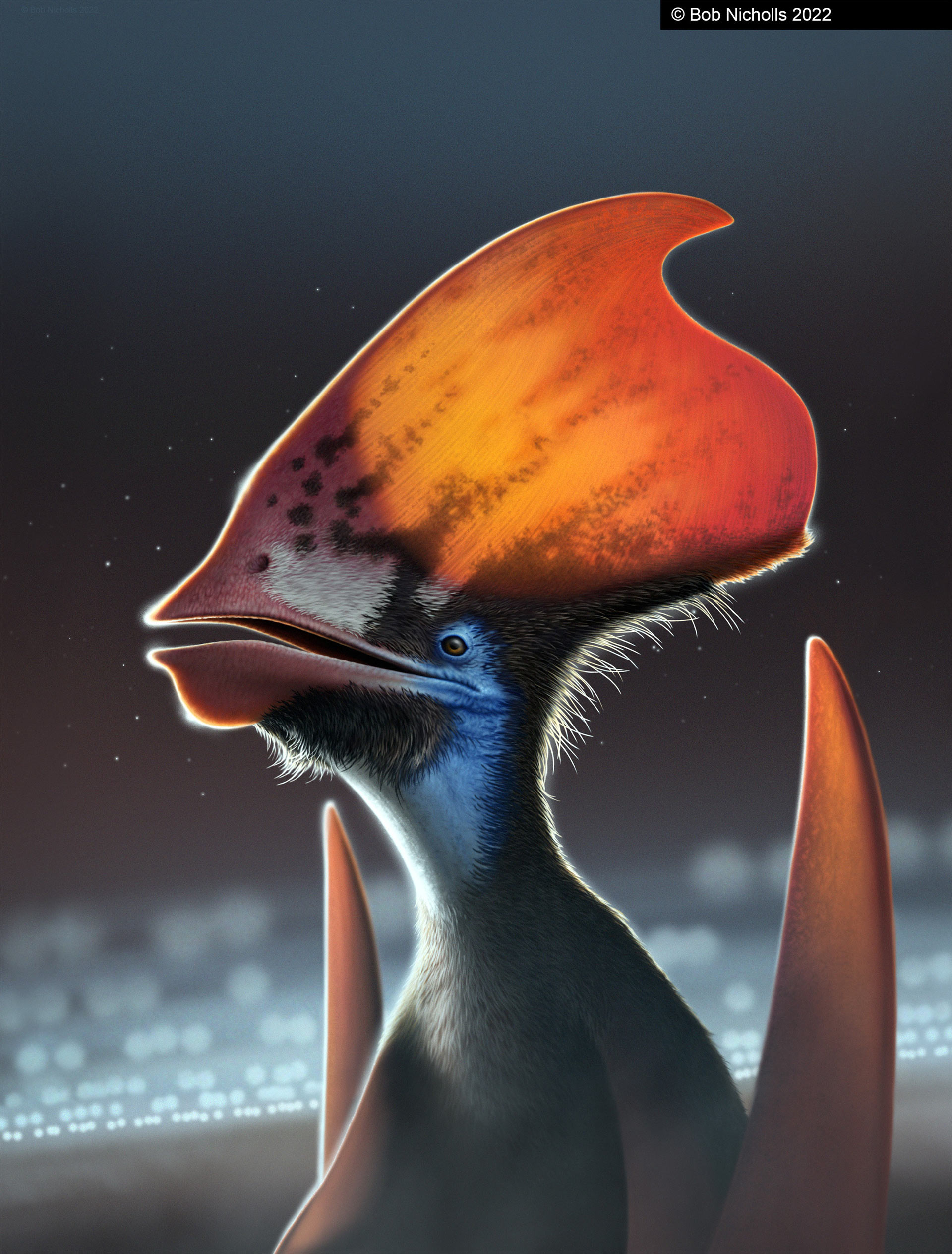 Tupandactylus imperator研究揭示：翼龙能够使用黑色素来控制其羽毛的颜色