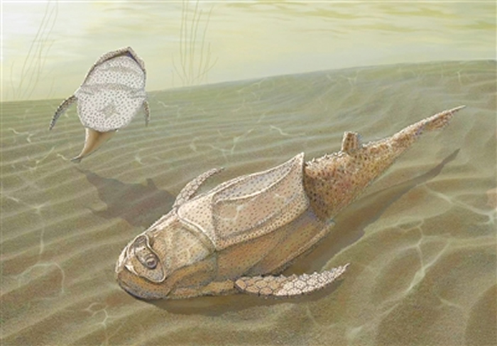 ������Сͷ����̬��ԭͼ�����ậ� �棩