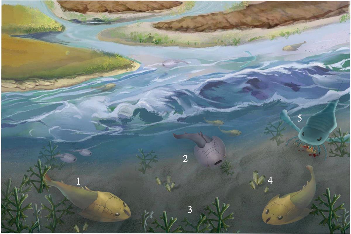 �ڶ�Ĺ����ﻯʯ֤����4.3�ڶ���ǰ�人��������һƬǳ�� ���������������