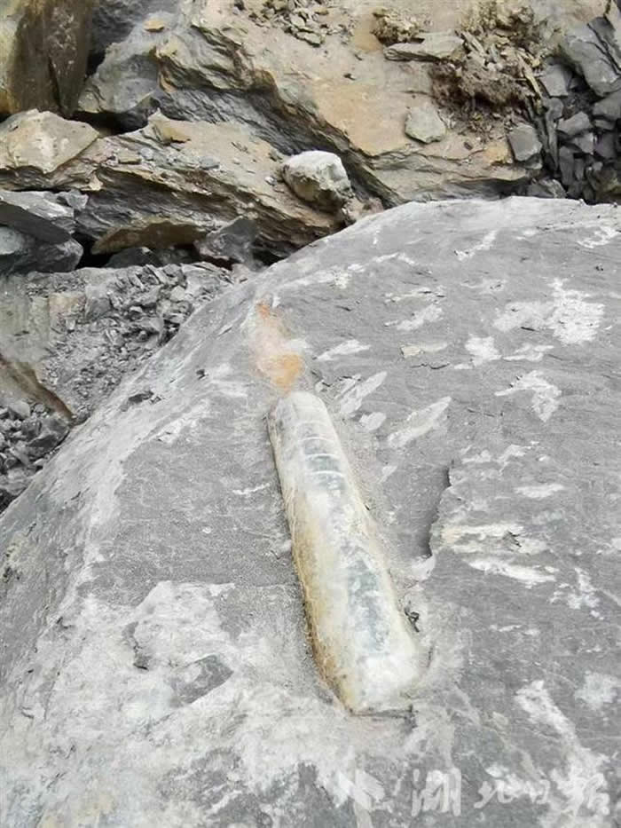 ����ʡ��ʩ���̷��ظ���ɽ�����ҽ�巢����Ҷ����л��𵩽�ʯ