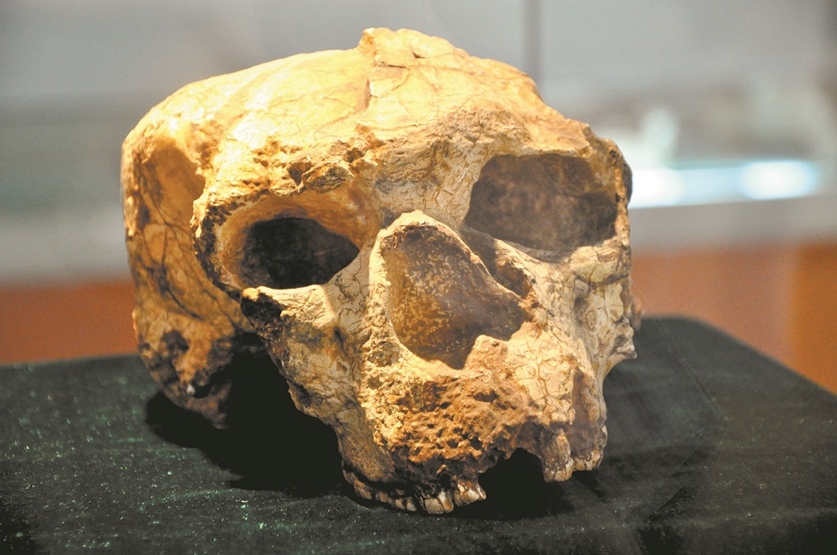 �������ˡ�ͷ�ǻ�ʯ