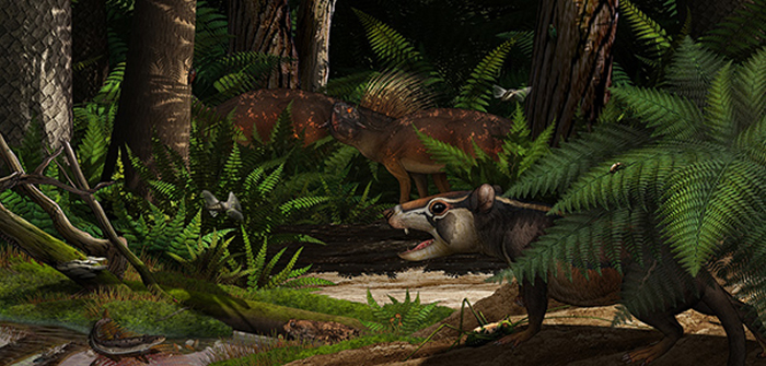 �����������еĹǻ��������Ǻ��ڶ���̬Ϊ���鶯���������ٵ��ݻ��ṩ��Ҫ֤��