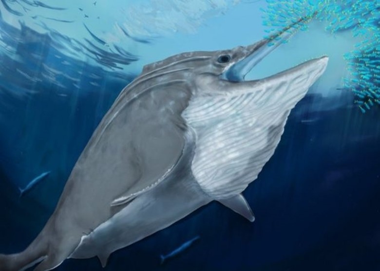 阿尔卑斯山出土2.5亿年前鱼龙化石 曾是有史以来最大的动物