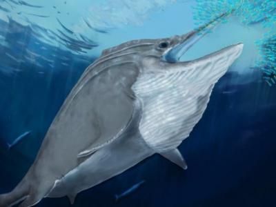 阿尔卑斯山出土2.5亿年前鱼龙化石 曾是有史以来最大的动物