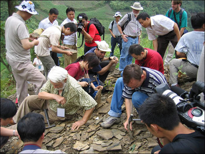 ����ͼ�������ظﶫ��İ��ɹ����ﻯʯȺ����