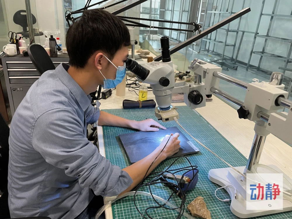 ����ǿ�ڲ���̨ǰ�޸���ʯ