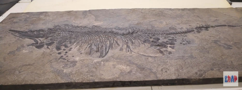 �Ѿ��޸��õĻ�ʯ�걾