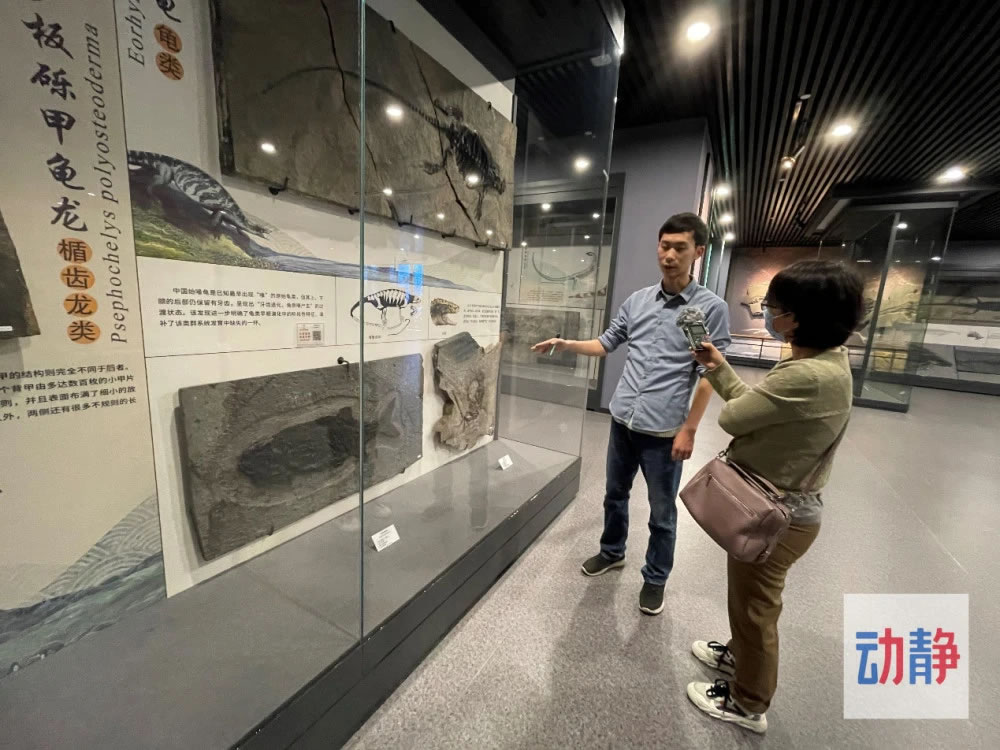 ����ǿ������ʯ�Ĺ���