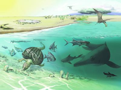 瑞士阿尔卑斯山高处发现巨型海洋爬行动物鱼龙化石