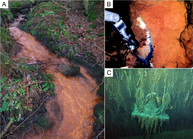 不同水环境中的铁氧化菌菌席 A：富Fe溪流中的铁氧化菌菌席；B：海底火山喷口的铁氧化菌菌席；C：受铁氧化菌腐蚀的泰坦尼克号残骸