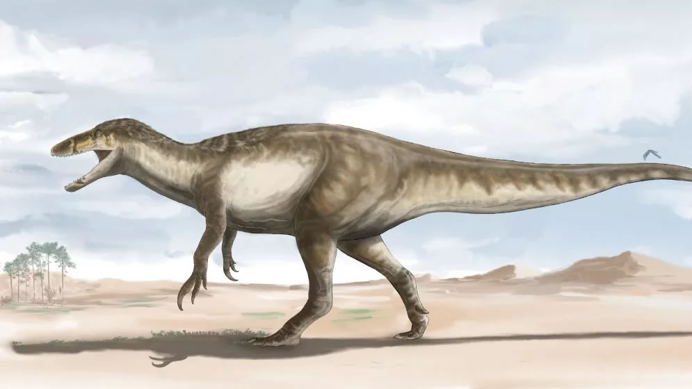 阿根廷发现白垩纪顶级掠食者恐龙 以体型较小的恐龙为食