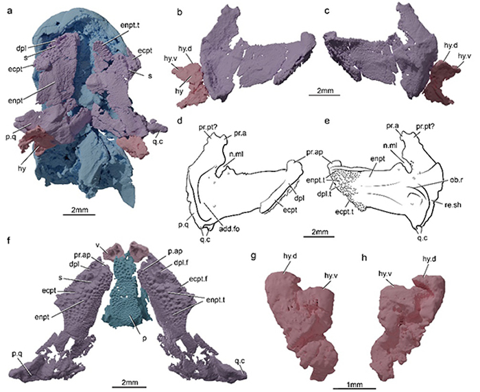 ����Ȼ ͨѶ�����������ʾ������ʳ������Դ������ݻ�