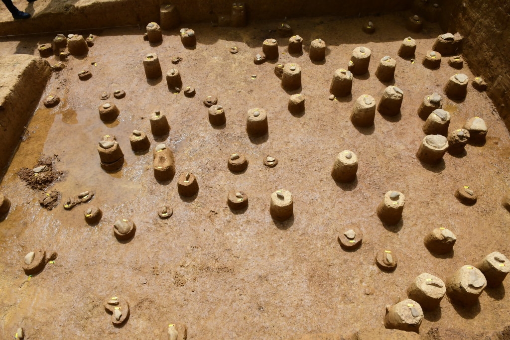 ��ʯ��ʱ��Ƥ����ַ������һ�����ʵĳ�ƪ��̽С˵