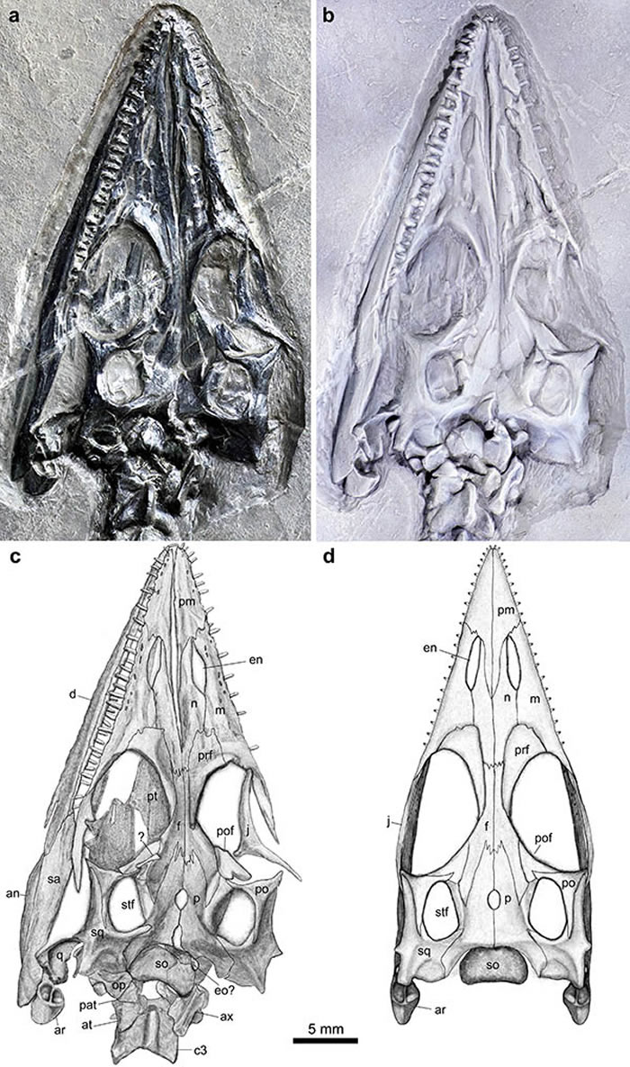 ���Ϻ�������������ں���ز㷢��2.44����ǰ�������ж��ﻯʯ����β�������