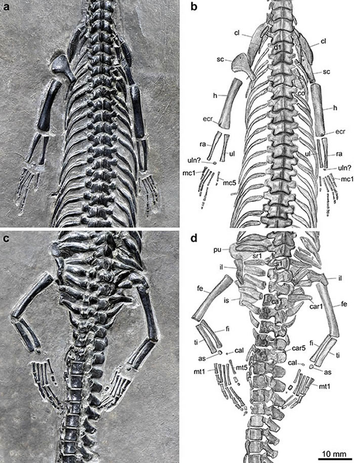 ���Ϻ�������������ں���ز㷢��2.44����ǰ�������ж��ﻯʯ����β�������