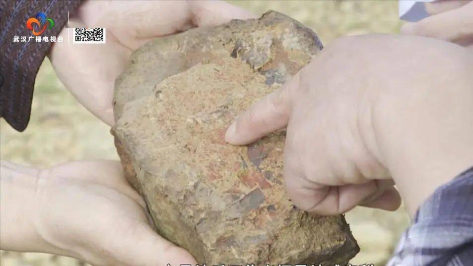 �人����4.3����ǰ���ͺ������ﻯʯȺ��