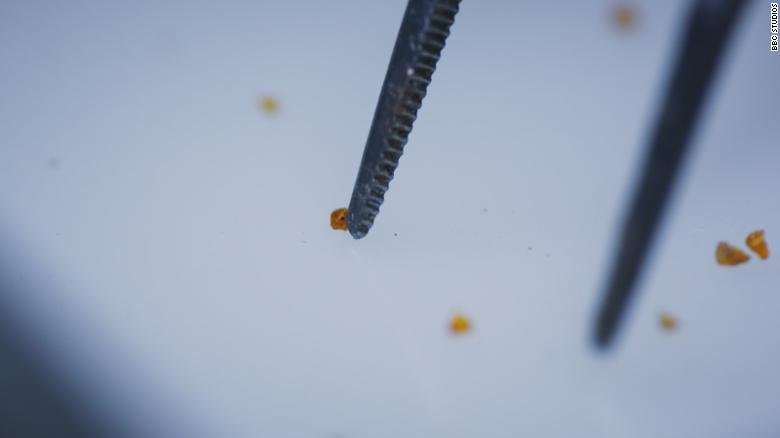 ����������Ϫ�ز㡱����װ������6600����ǰײ�����򲢵��¿��������С������Ƭ