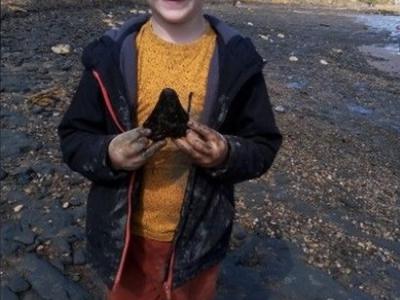 英国萨福克郡6岁男童海边捡贝壳意外发现史前巨齿鲨牙齿化石