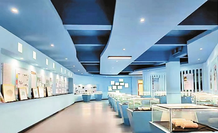 ȫʡ�׸�������������Ժ������ʦ��ѧԺ���� ��缼���Ͷ�ý���豸�û�ʯ�������