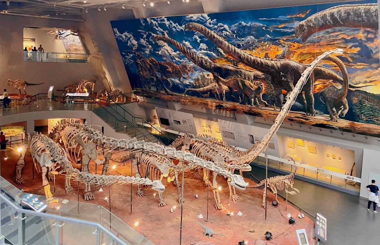 全国最全恐龙家族齐聚(央广网发 白刁尹摄)