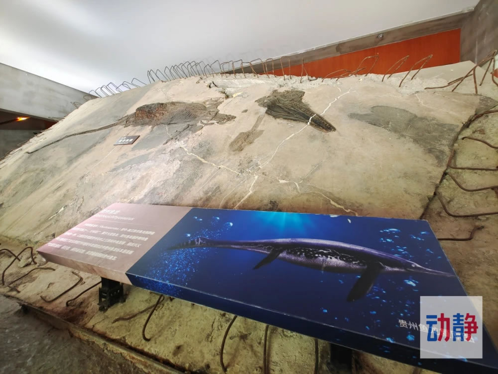 ������ҵ��ʹ�԰����ݵ����֮����������������ʯ