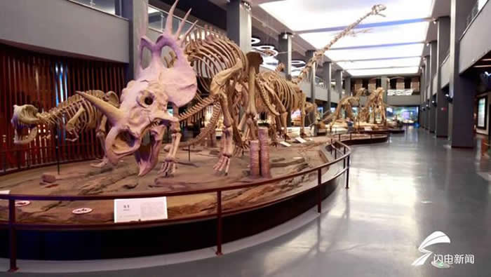 国际博物馆日：德州市齐河县泉城欧乐堡动物王国古生物化石博物馆开启云直播