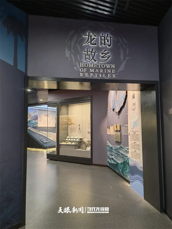 国际博物馆日：走进贵州省地质博物馆探秘“龙的故乡”