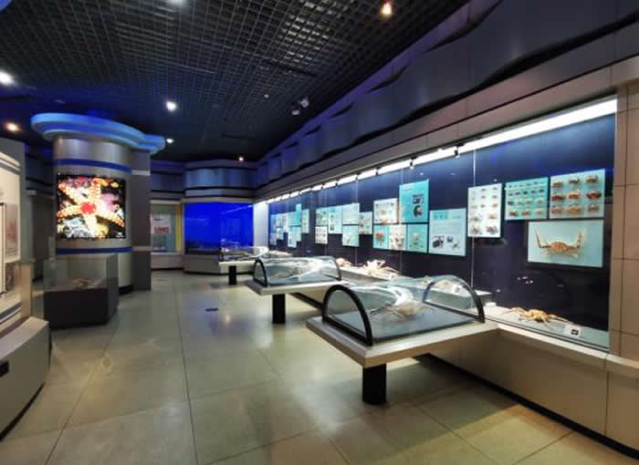 ������Ȼ�����