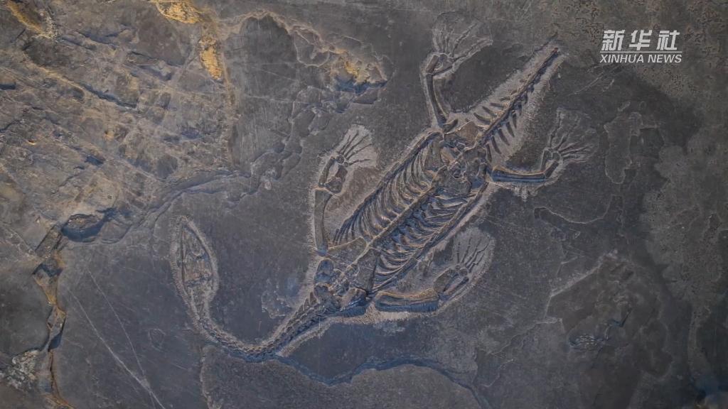 8Сʱֻ���޸�1���ף���ʯ�޸�ʦ�����ѡ�������