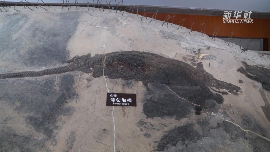 8Сʱֻ���޸�1���ף���ʯ�޸�ʦ�����ѡ�������