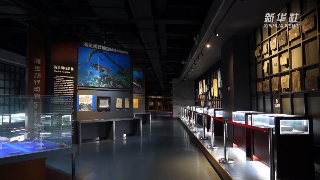 8Сʱֻ���޸�1���ף���ʯ�޸�ʦ�����ѡ�������