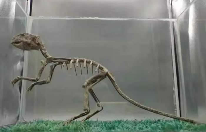 ����������Ϫ���������к�������ڽ����˿�������û������������ʯ����ʷ